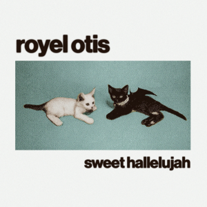 Royel Otis Sweet Hallelujah single cover featuring two cats on teal background