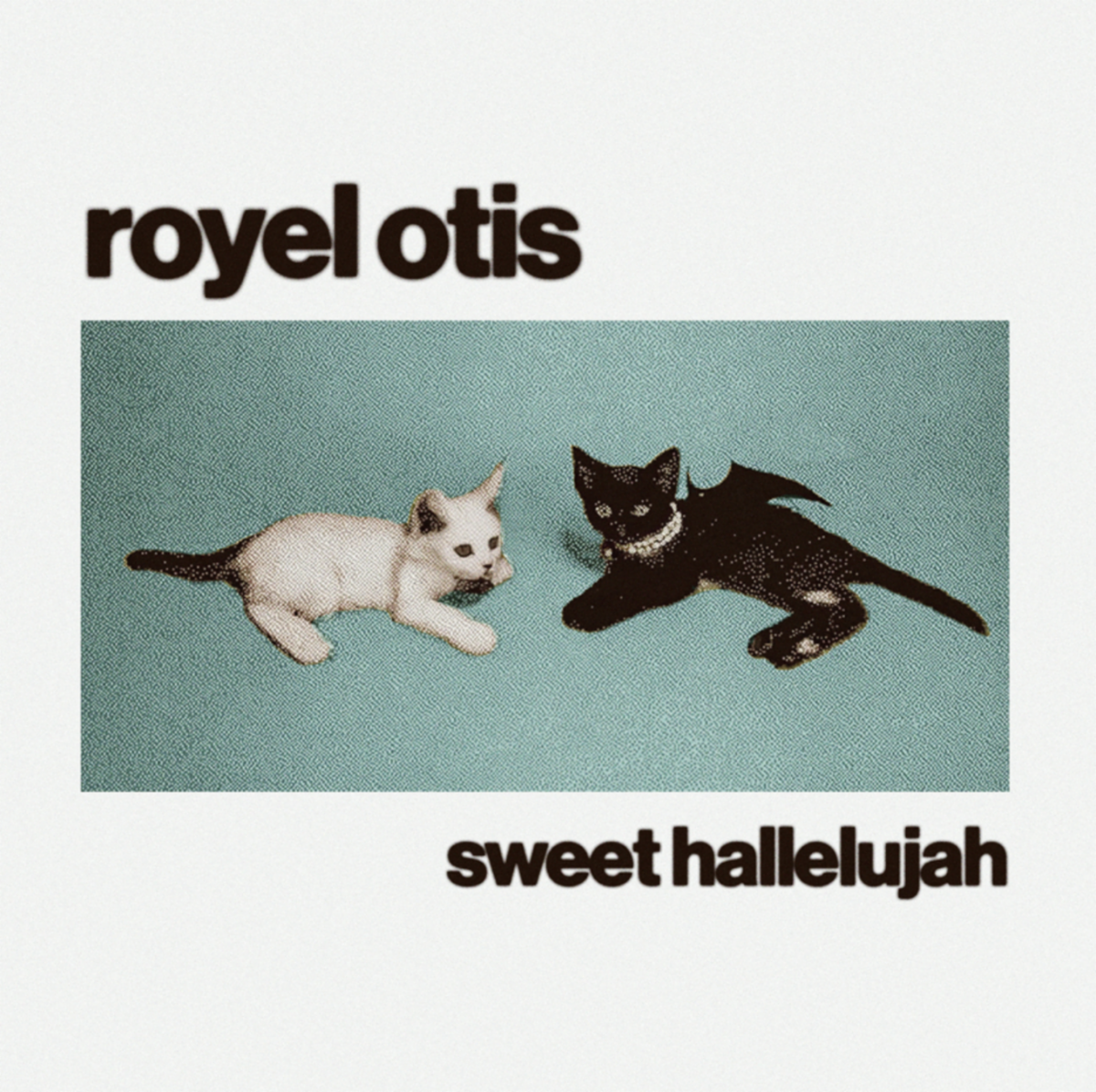 Royel Otis Sweet Hallelujah single cover featuring two cats on teal background