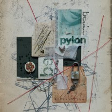 Official album artwork for beabadoobee's fourth studio album Pylon.