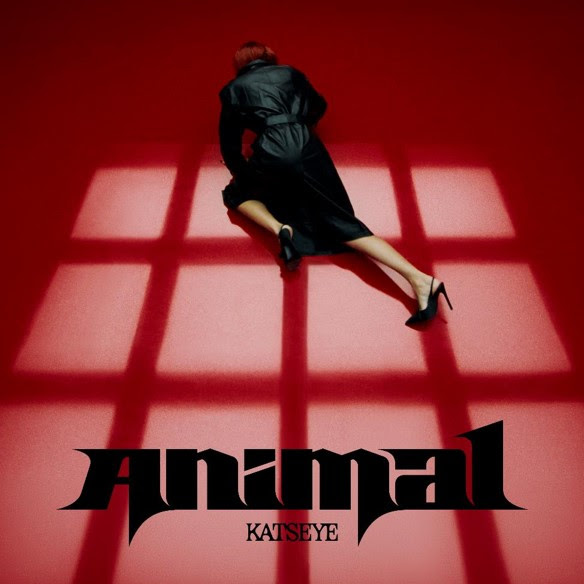 Official artwork for KATSEYE's 2026 single "Animal," featuring a mysterious figure lying across a red floor beneath dramatic window shadows.